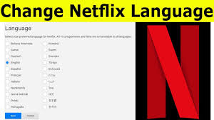 Changing Language On Netflix